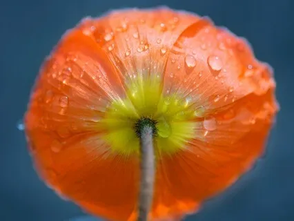 Reiki To Heal Your Body, Chronic Illness, Disease, Health