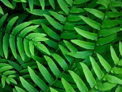 Heal Your Body, Mind, And Spirit With Archangel Raphael