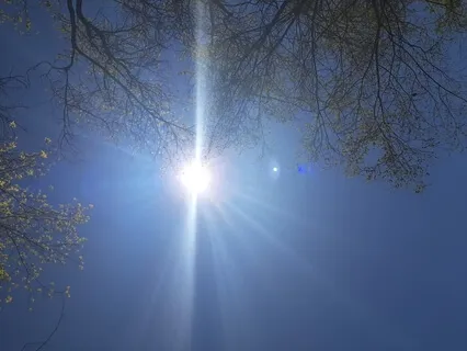 Heal Your Digestive System Meditation