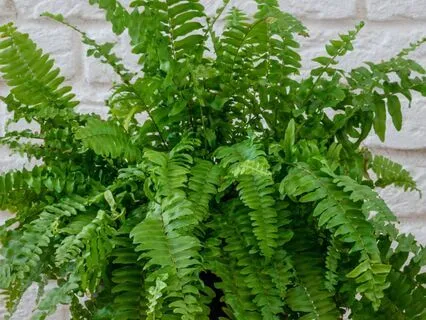 Heal Your Heart: Find Comfort Through Grief