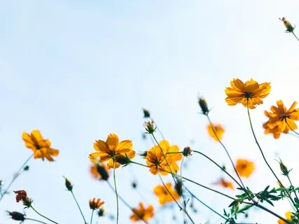 Heal Your Heart (Mysteries Of The Heart Short Version)