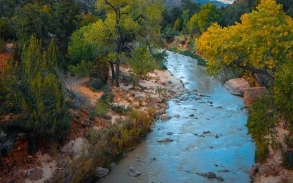 Heal Your Inner Child - Free Yourself From Trauma 