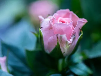 Heal Your Inner Child With Mother Mary