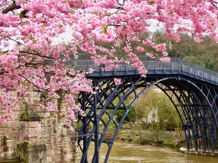 Heal Your Abundance Story