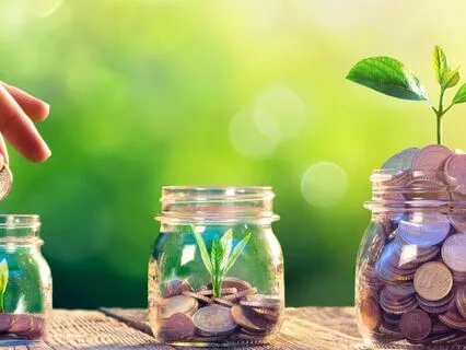 Heal Your Money Wounds