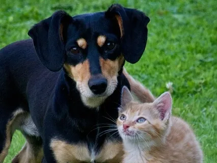 Heal Your Relationships