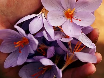 Heal Your Subconscious Mind While You Sleep