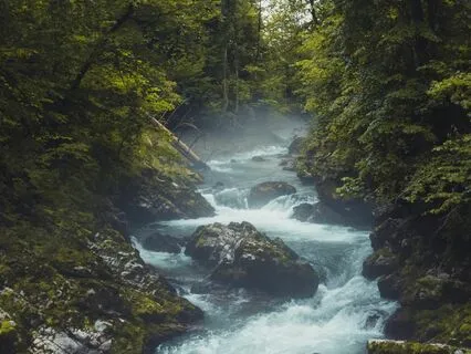 Healer's Nirvana: Nature Sounds For Healing