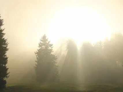 Healing - Detachment