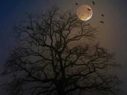 Healing 852Hz Music For Deep Sleep 7 Hours