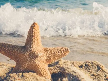 Healing | Accelerate Healing & Relieve Pain Naturally 3Hz