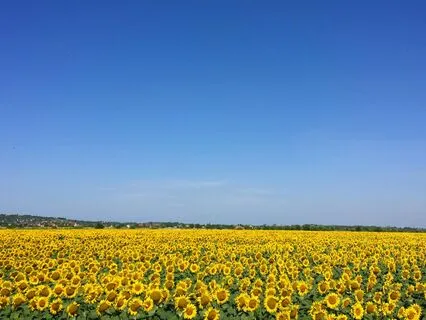 Healing Acoustic Guitar For Gentle Presence