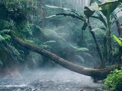 Healing Affirmation: I Am Unstoppable & Indestructible