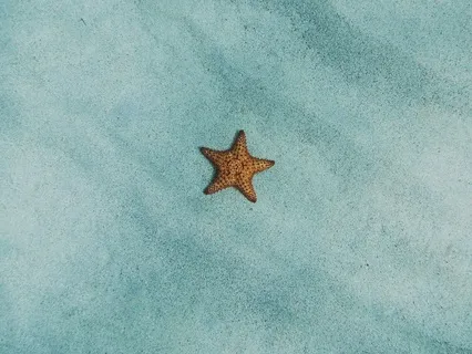 Healing Affirmation: I Choose To Honor My Needs