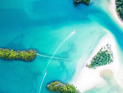 Healing Affirmation: It's OK To Be Different