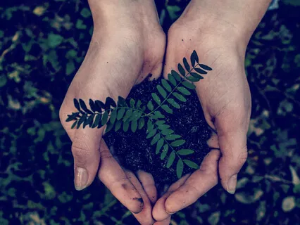 Healing Affirmation Practice