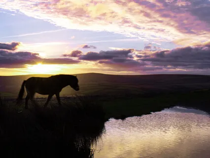 Healing Affirmations