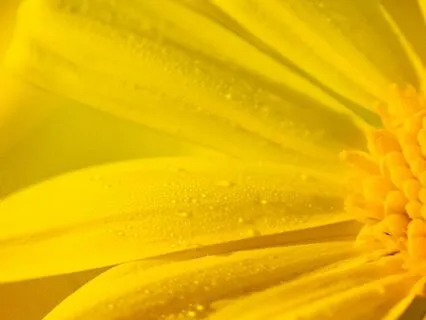 Healing Affirmations and Vibrations for the Third Chakra