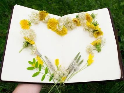 Healing Affirmations And Vibrations For Your Heart Chakra