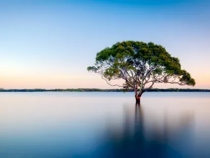 Healing Affirmations For Chronic Illness & Cancer - Track 1