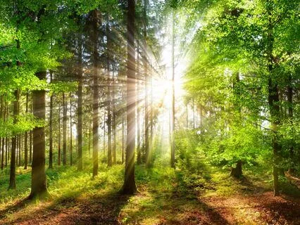 Healing Affirmations For Chronic Illness & Cancer - Track 7