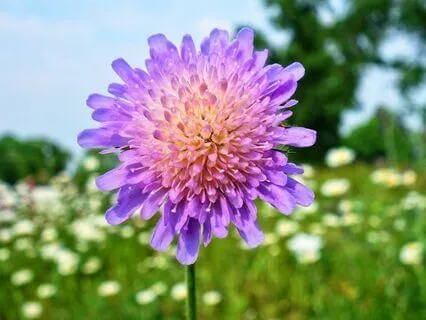 Healing Affirmations For Health And Vitality