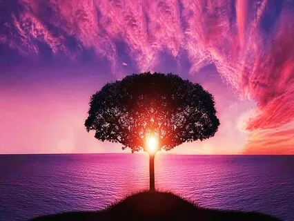 Healing Affirmations For Mind, Body And Spirit