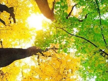 Healing Affirmations For Transformation