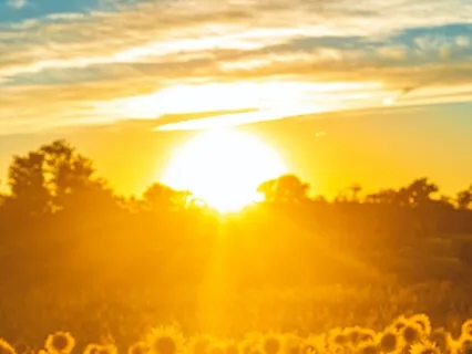 Healing Affirmations: I Am Worthy Of Love Just As I Am