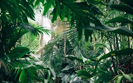 Healing Affirmations: I Am Not Alone. I Am Supported