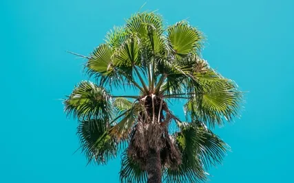 Healing Affirmations:  I Am Not Defined By My Mistakes 