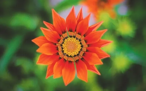 Healing Affirmations: I Am Pure Positive Energy (Updated) 