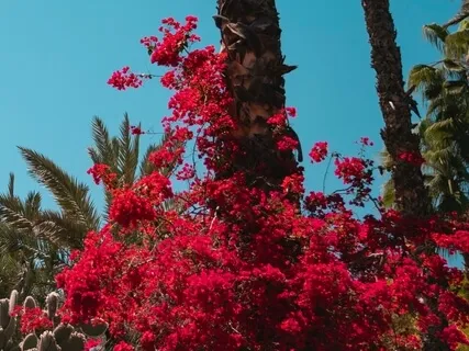 Healing Affirmations: I Am Safe & Protected