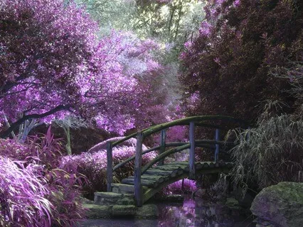 Healing Affirmations: I Embrace All The Future Holds