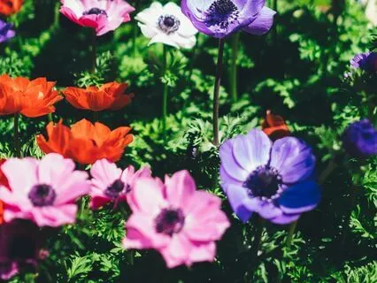 Healing Affirmations: I Embrace Now. I Love Myself.