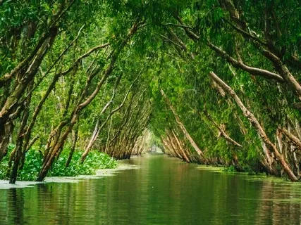 Healing Affirmations: I Forgive Myself