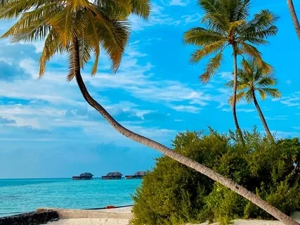 Healing Affirmations: My Words Have Power 