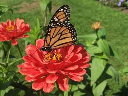 Healing Affirmations With Reiki