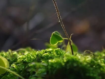 Tervenemine pärast lahkuminekut