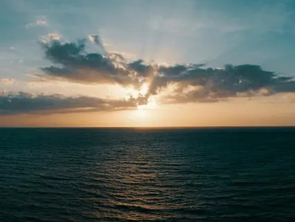 Healing After Pet Loss | Gentle Grief Meditation