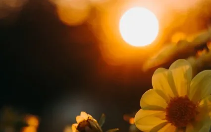 Healing Ambient Music - "East Of The Moon" By Gollden