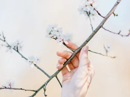 Healing Ancestral Blocks