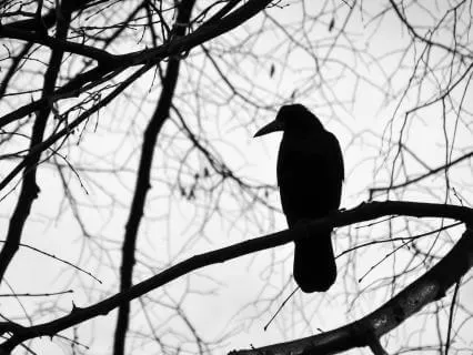 Healing Ancestral Patterns