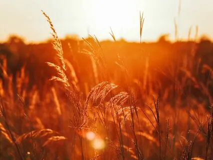 Healing And Acceptance Meditation