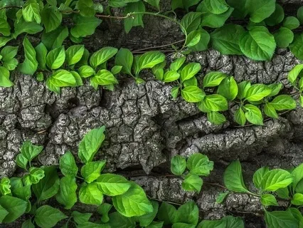 Soothing And Grounding Meditation Music | Earth Sounds | 432Hz