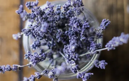 Healing And Recovery