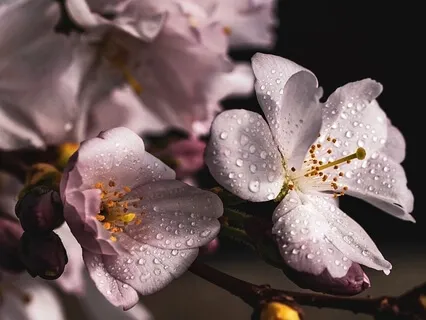 Soothing Piano & Guitar