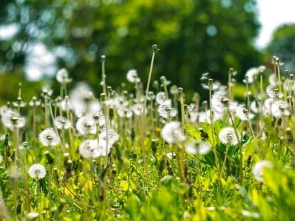 Healing Anxiety & Panic