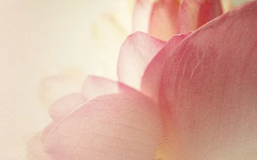 Healing Balm (For Chronic Pain And Illness)