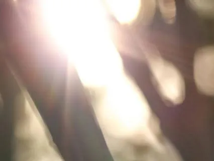 Healing Balm Of God's Peace